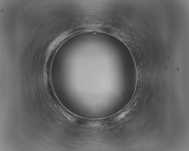 X0000072540294200607141234