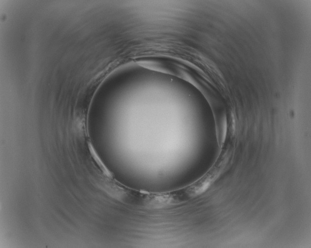 X0000072540329200607141234