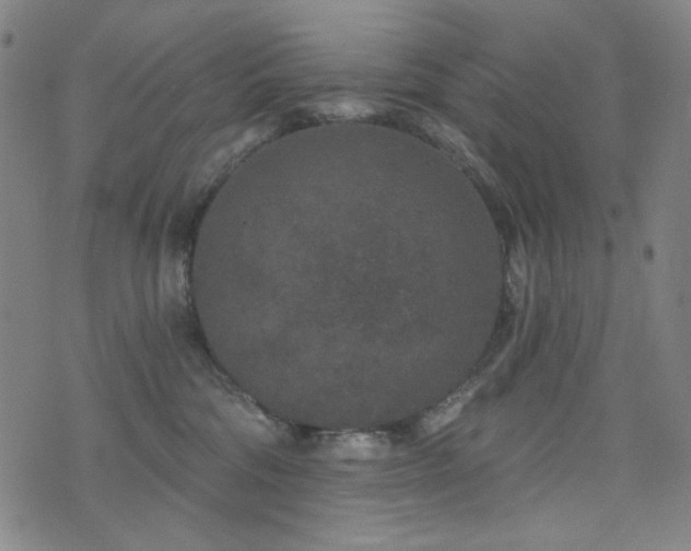 X0000072540330200607141234