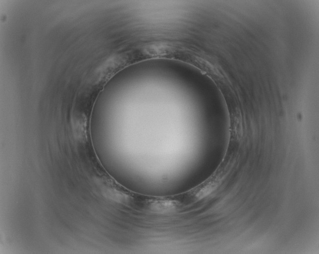 X0000072540332200607141234