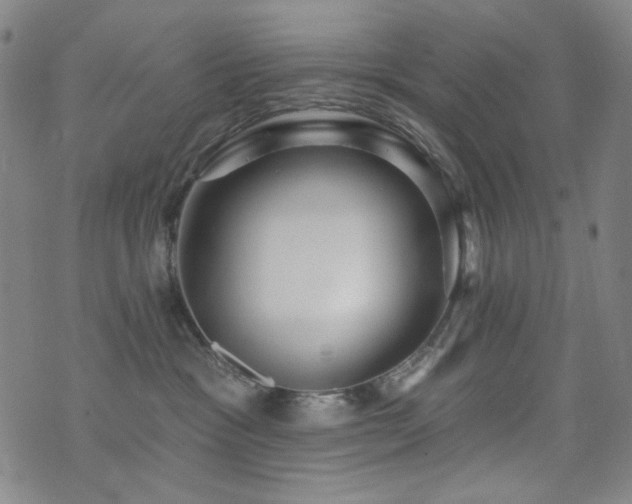 X0000072540333200607141234