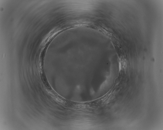 X0000072540339200607141233