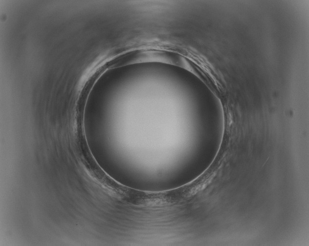 X0000072540344200607141233
