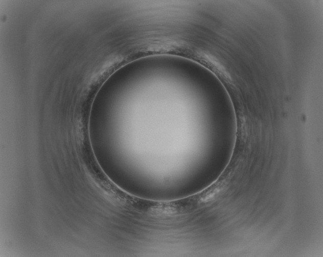 X0000072540354200607141233