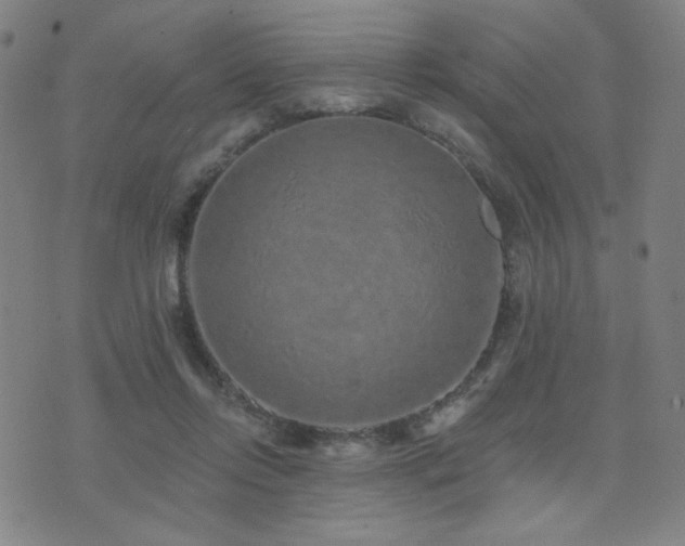 X0000072540358200607141233