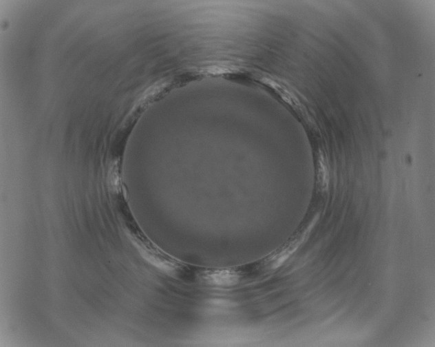 X0000072540383200607141233