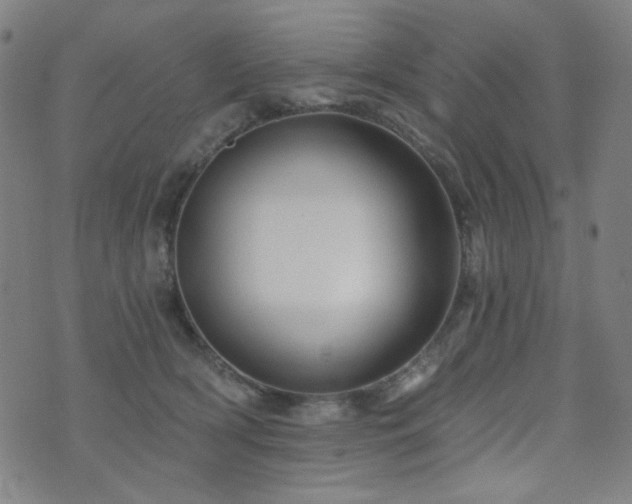 X0000072540418200607141232