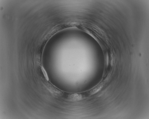X0000072540421200607141232
