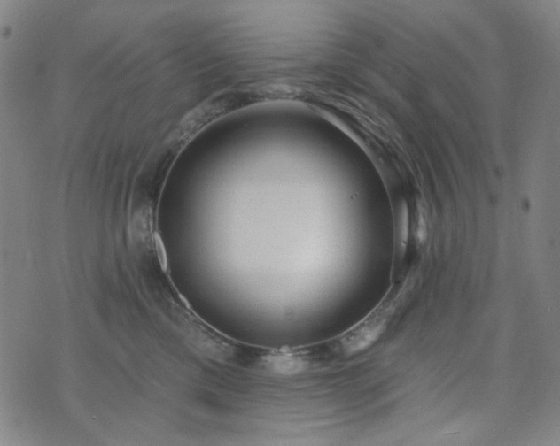 X0000072540425200607141232