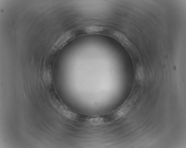 X0000072540426200607141232