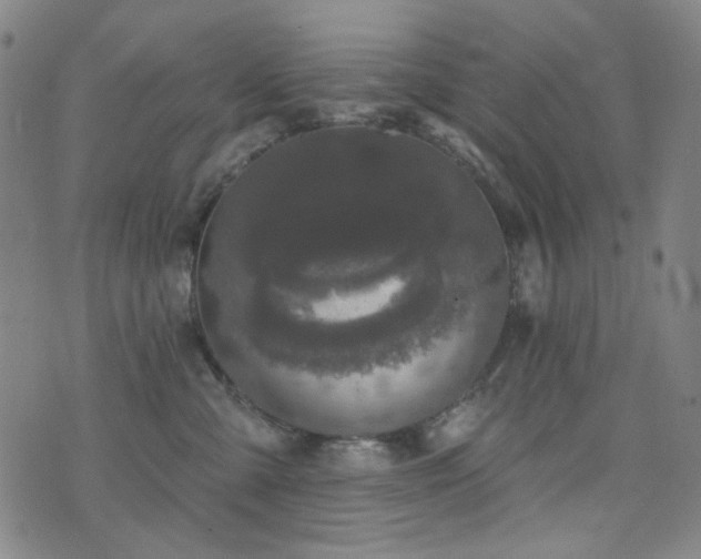 X0000072540427200607141232