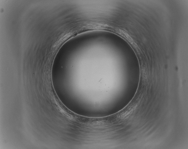 X0000072540433200607141231