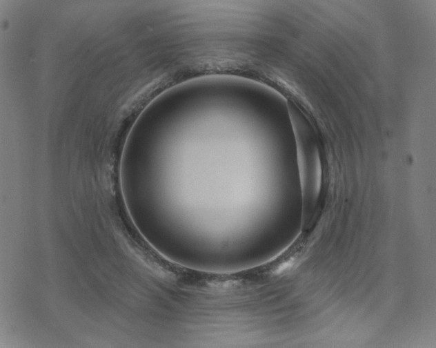 X0000072540450200607141231