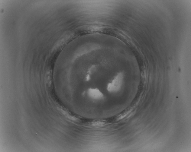 X0000072540462200607141232