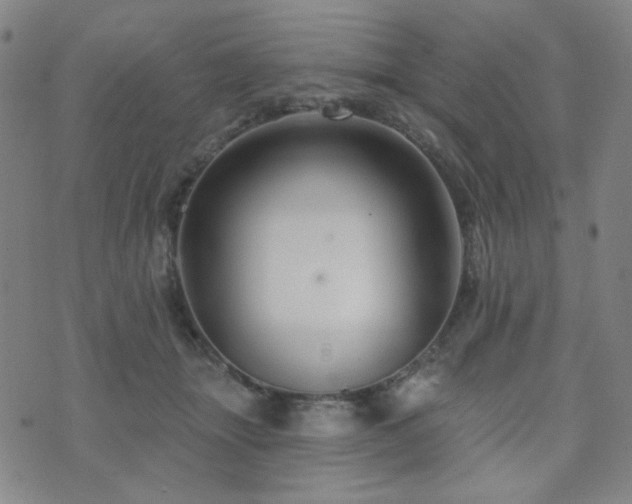 X0000072540463200607141232
