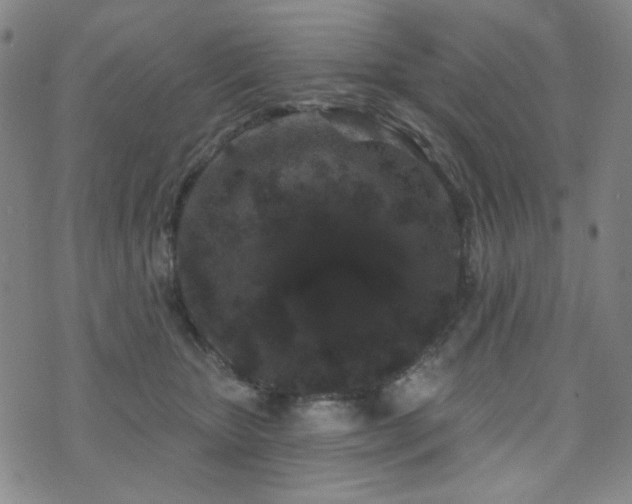 X0000072540467200607141232