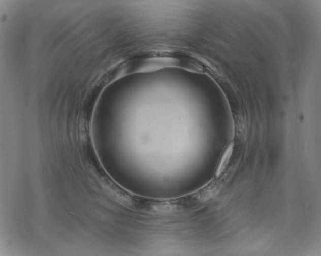 X0000072540470200607141232