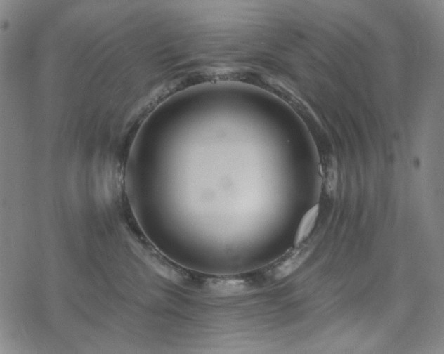 X0000072540476200607141232