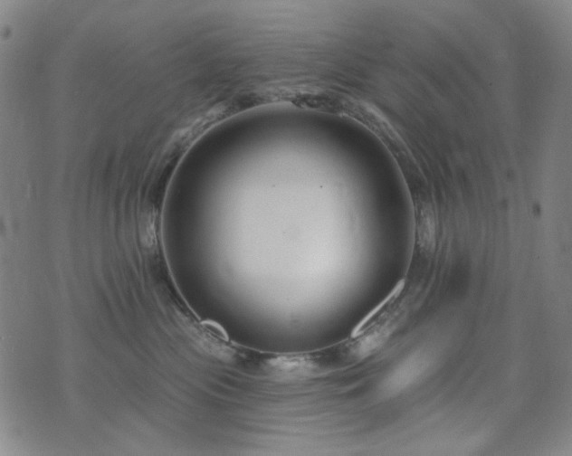 X0000072540477200607141232