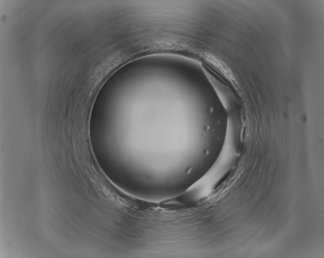 X0000072540481200607141231