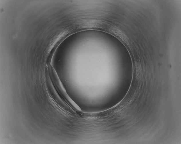 X0000072540482200607141231