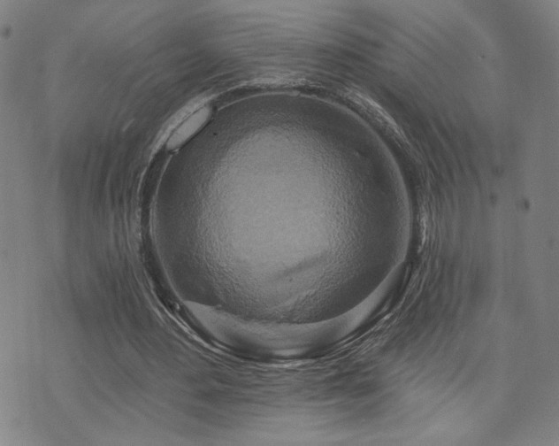 X0000072540484200607141231