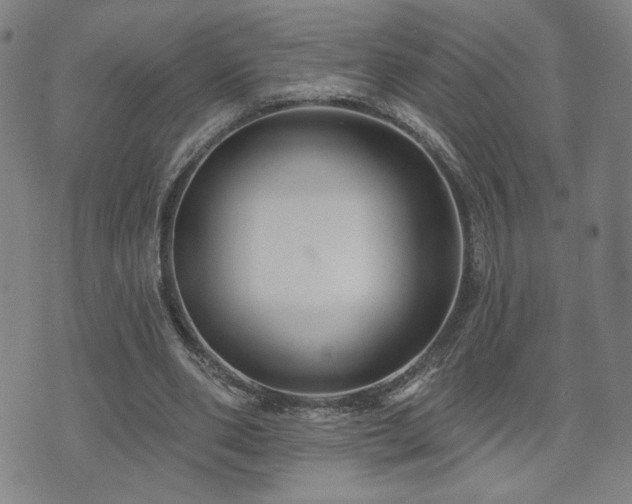 X0000072540486200607141231