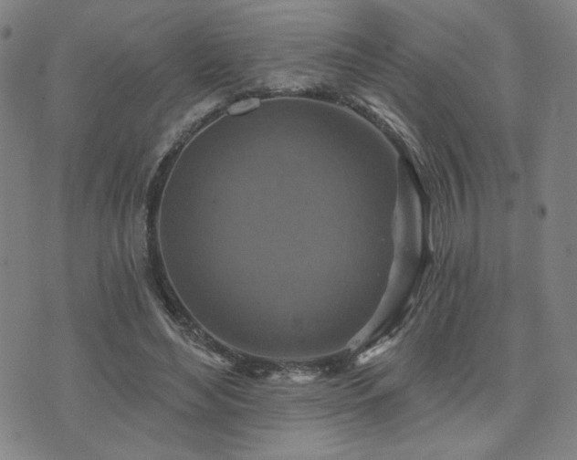 X0000072540492200607141231