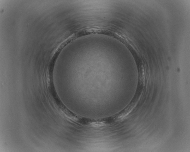 X0000072540508200607141231