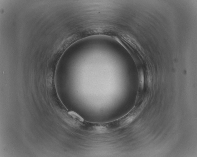 X0000072540509200607141231