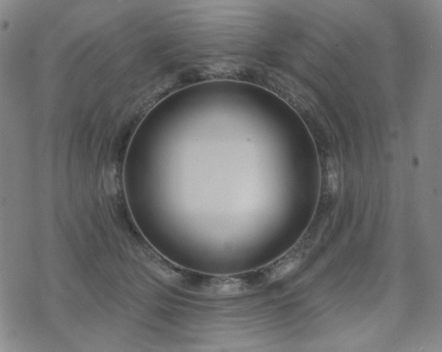 X0000072540514200607141231