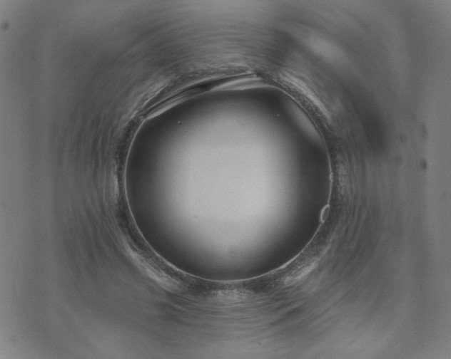 X0000072540541200607141230