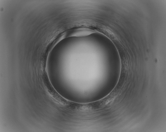 X0000072540546200607141230