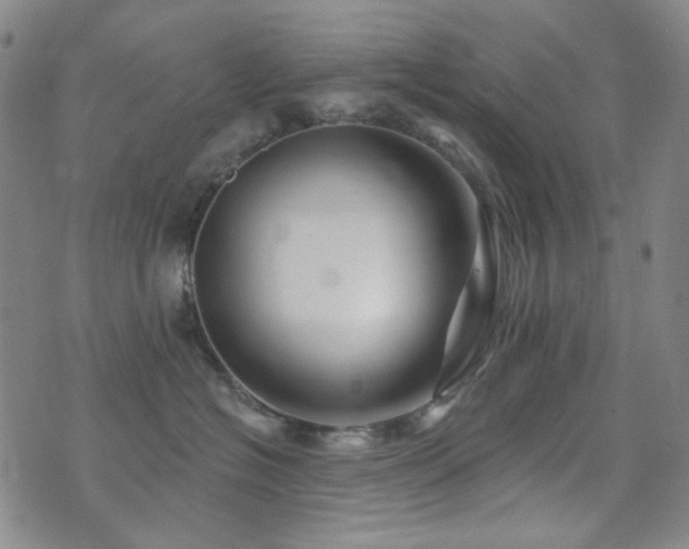 X0000072540574200607141230