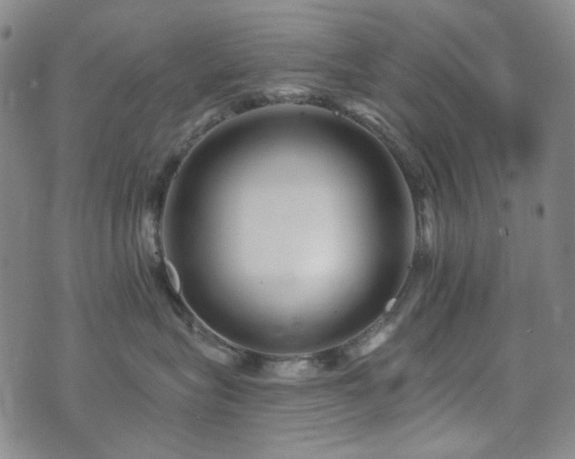 X0000072540575200607141230