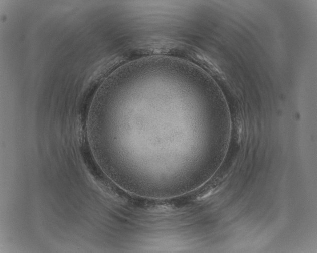 X0000072540594200607141229