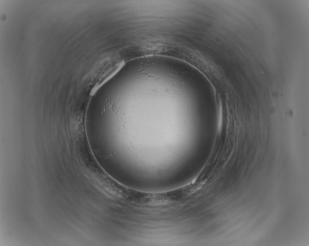 X0000072540601200607141229
