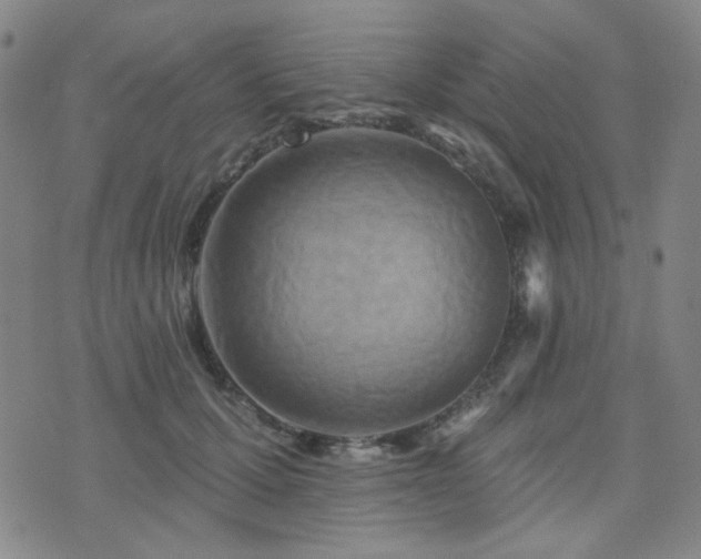 X0000072540607200607141229