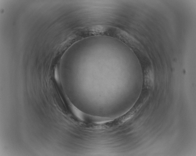 X0000072540608200607141229