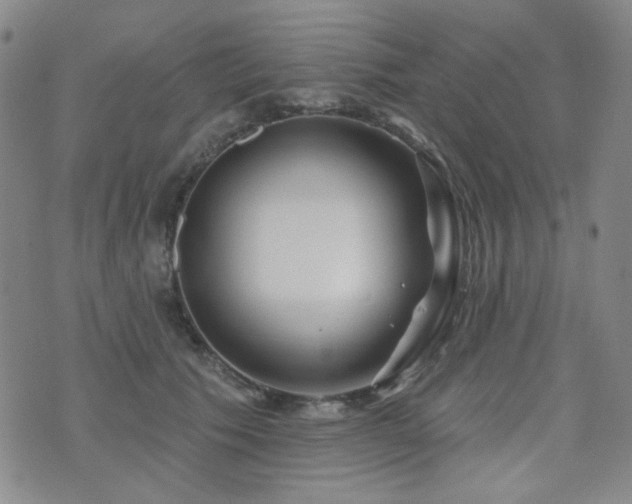 X0000072540609200607141229