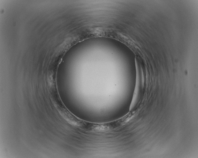 X0000072540611200607141229