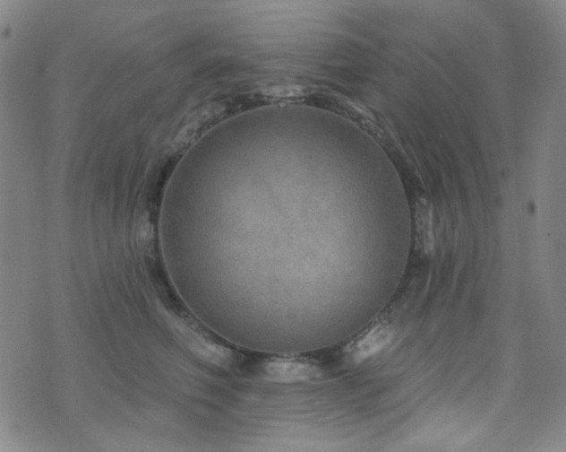 X0000072540614200607141229
