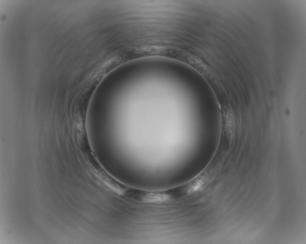 X0000072540617200607141229