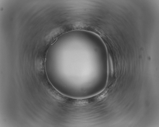 X0000072540619200607141229