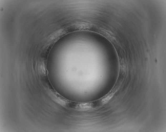 X0000072540622200607141229