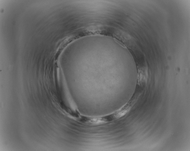 X0000072540623200607141229