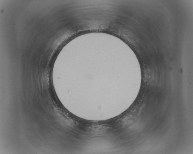 X0000072540632200607141228
