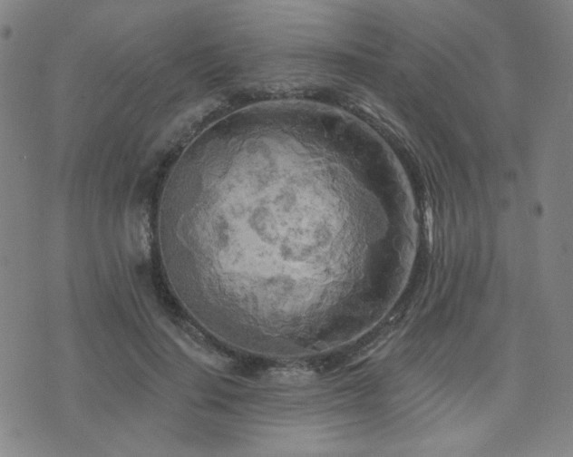 X0000072540644200607141228