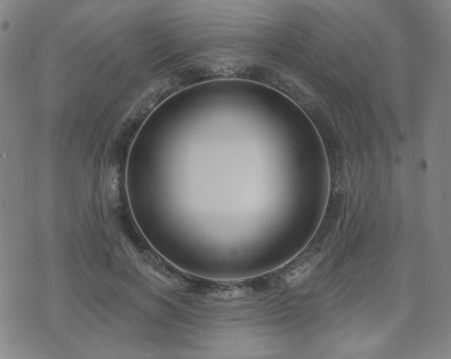 X0000072540646200607141228