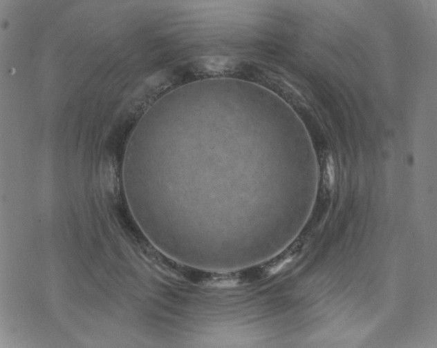 X0000072540651200607141228